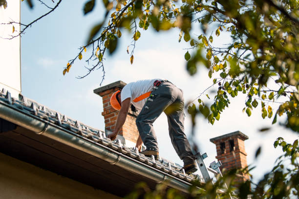 Roof Waterproofing Services in Rantoul, IL