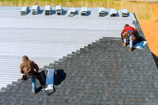 Best Shingle Roofing Installation  in Rantoul, IL