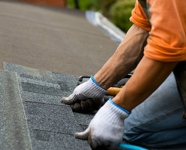 Best Metal Roofing Contractor  in Rantoul, IL