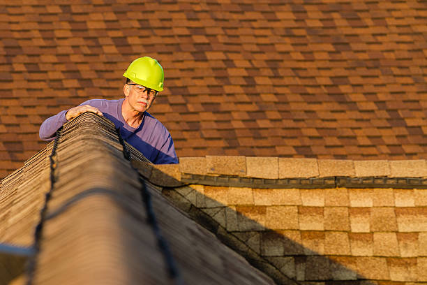 Best Residential Roofing Contractor  in Rantoul, IL