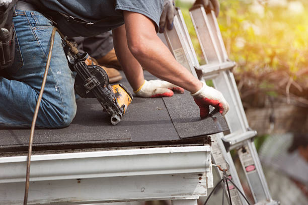 Best Roof Waterproofing Services  in Rantoul, IL